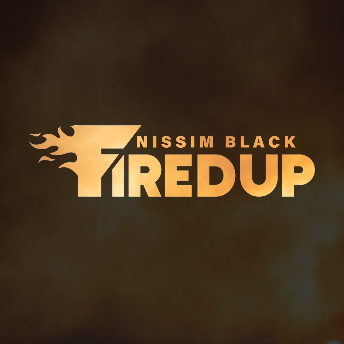 Album cover of Fired Up
