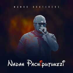 Cover of Nadah Pachiputukezi