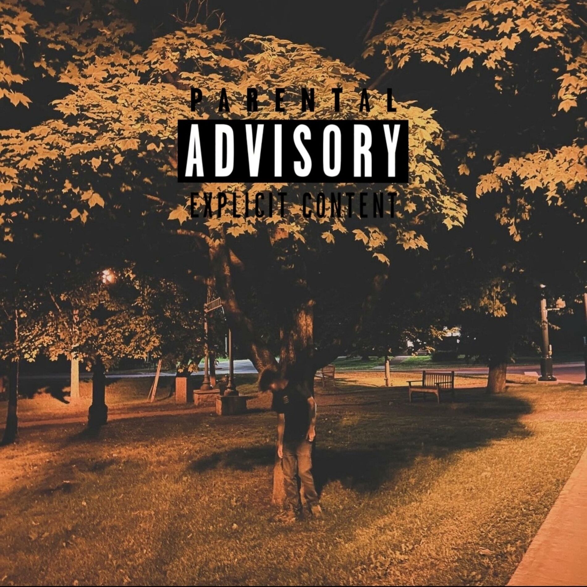 Album cover of Versatile