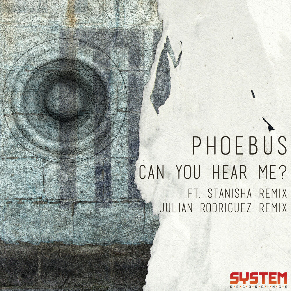 Picture of Can You Hear Me?