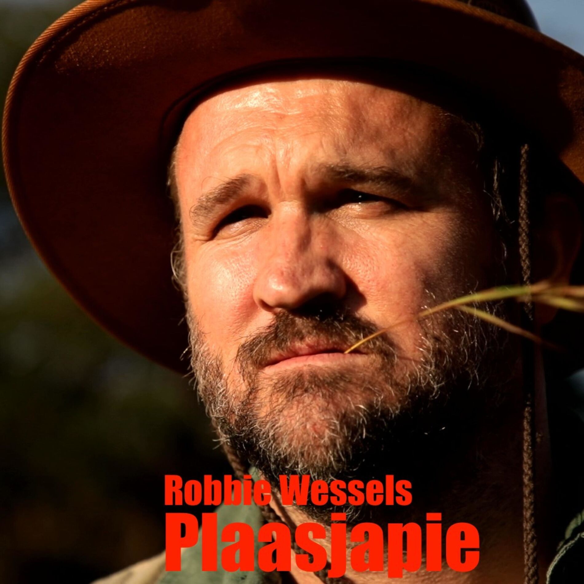 Album cover of Plaasjapie