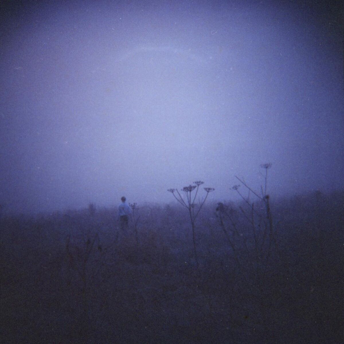 Album cover of Once We Were (Fragments of 2011-2017)