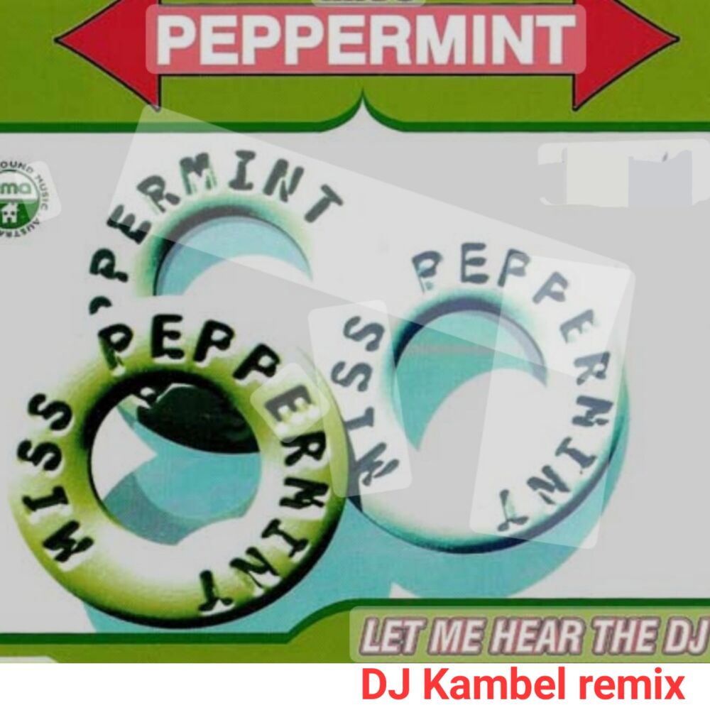 Picture of Let Me Hear The Dj (Remix)