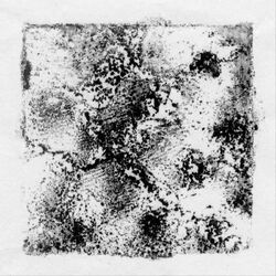 Cover of Continuo
