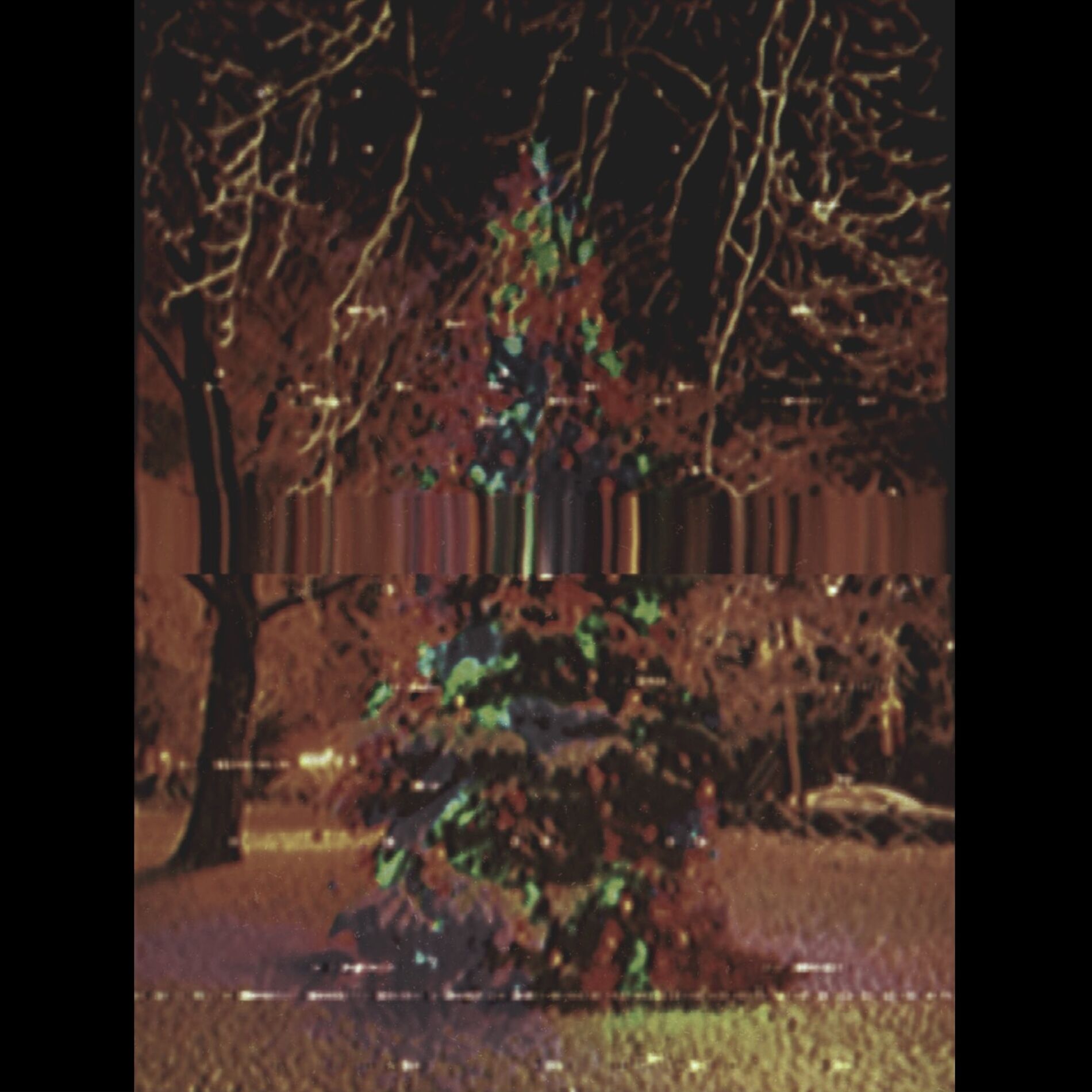 Album cover of Christmas Night
