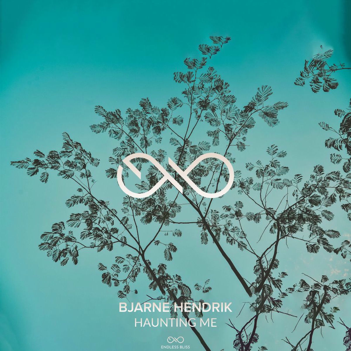 Album cover of Haunting Me