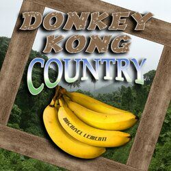 Cover of Donkey Kong Country