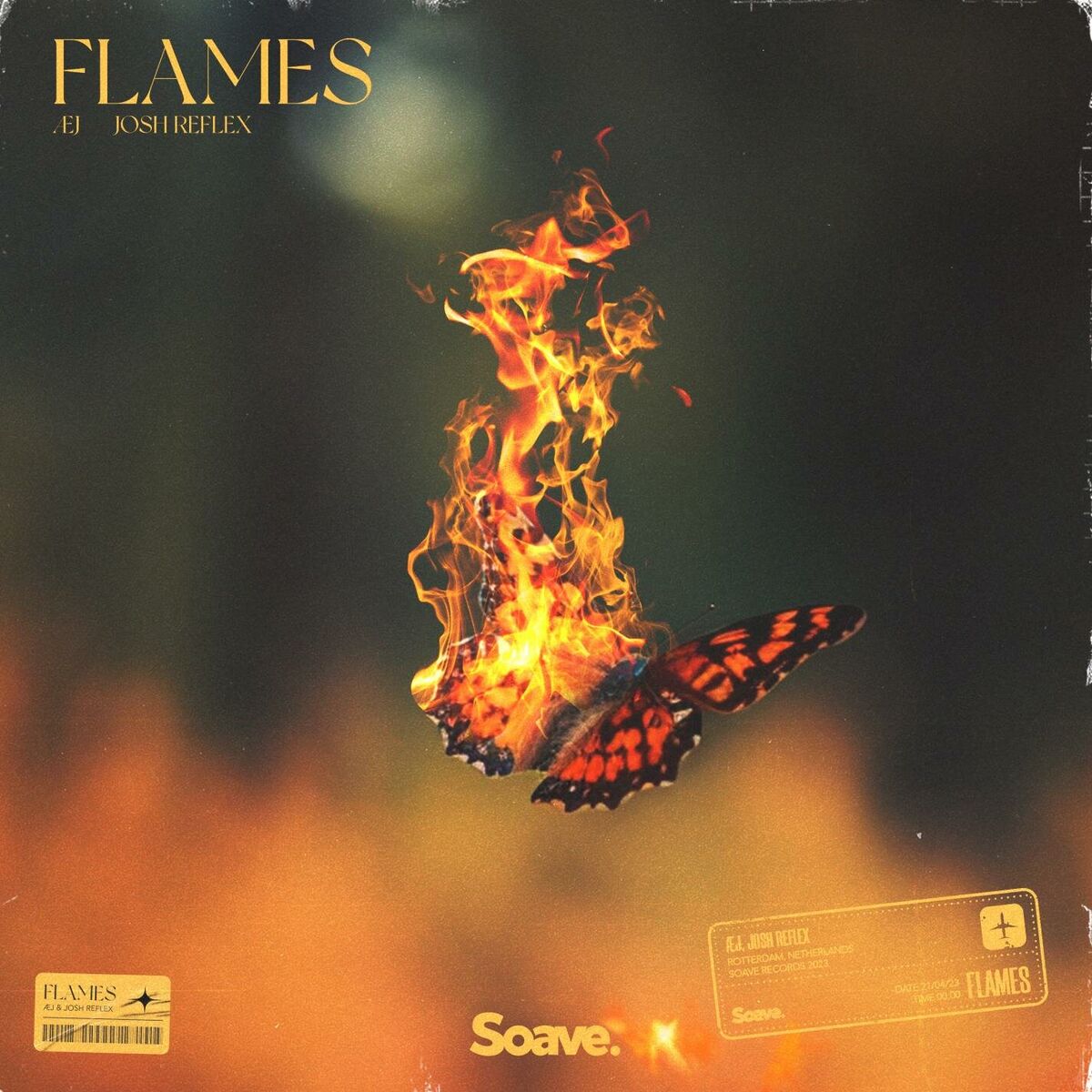 Album cover of Flames