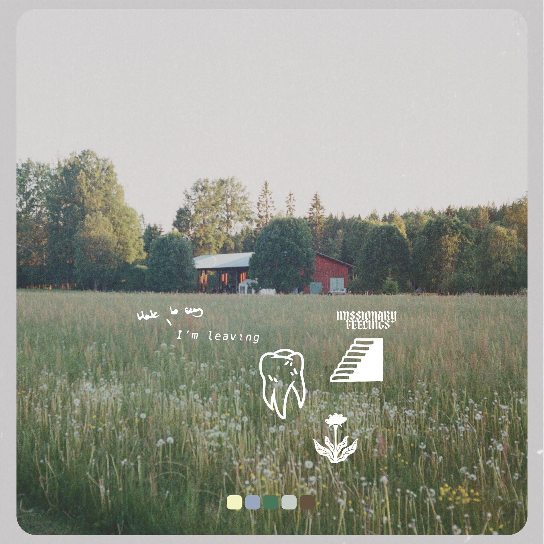 Album cover of Missionary Feelings