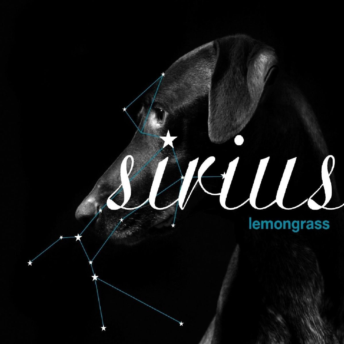 Album cover of Sirius
