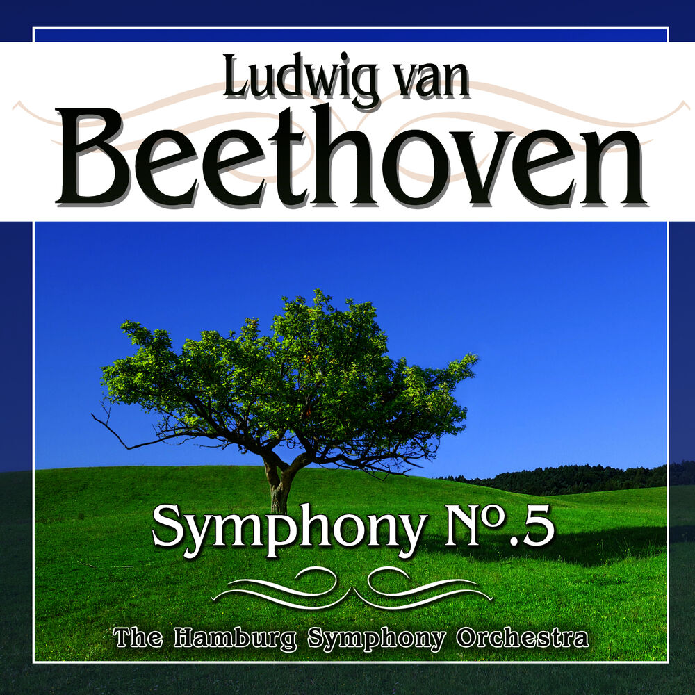 Picture of Beethoven. Symphony No.5