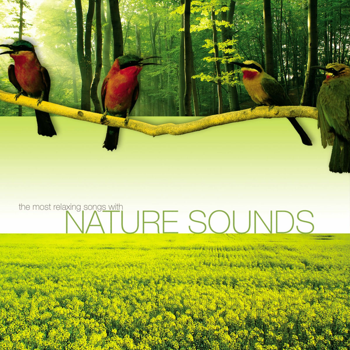 Album cover of The Most Relaxing Songs with Nature Sounds