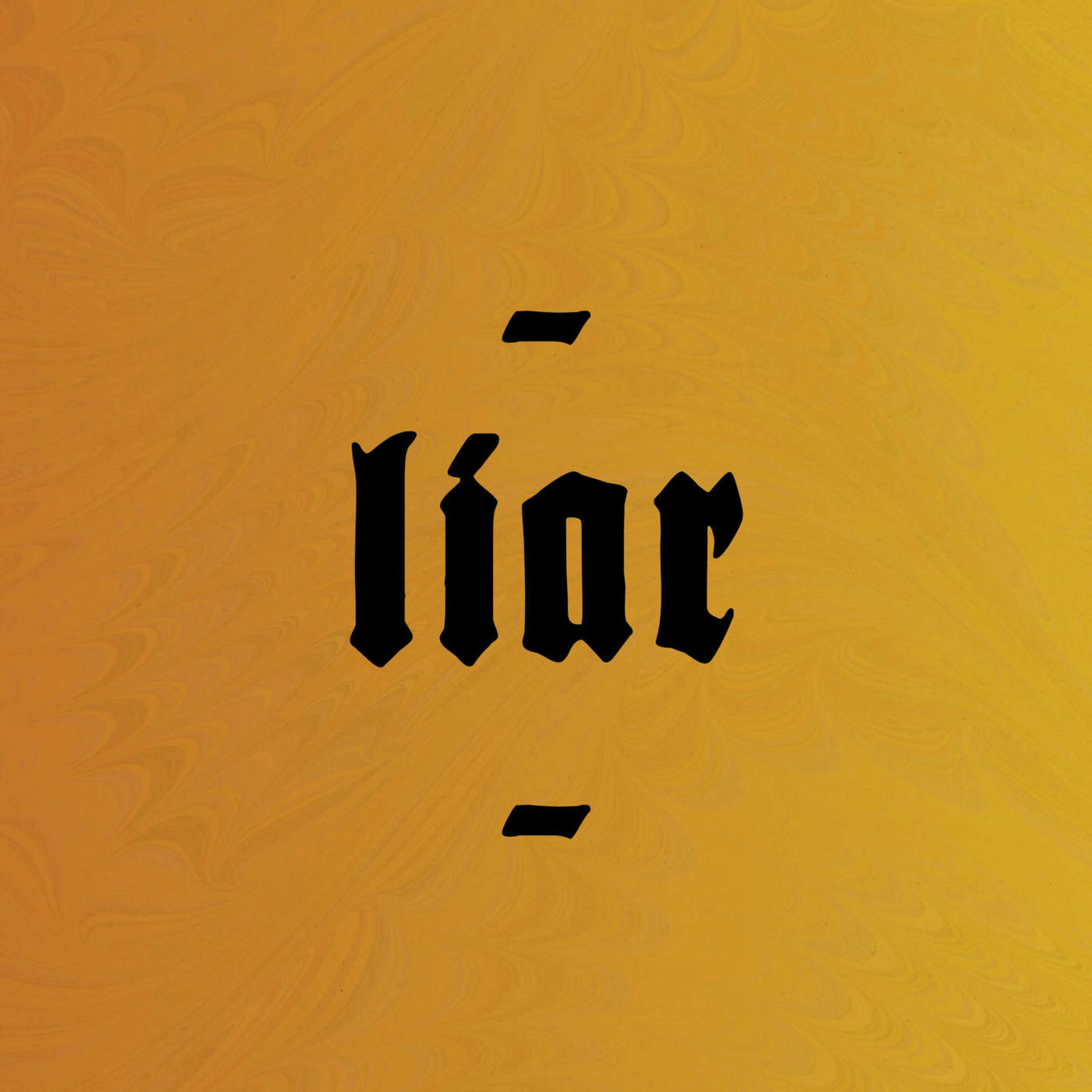 Album cover of Liar