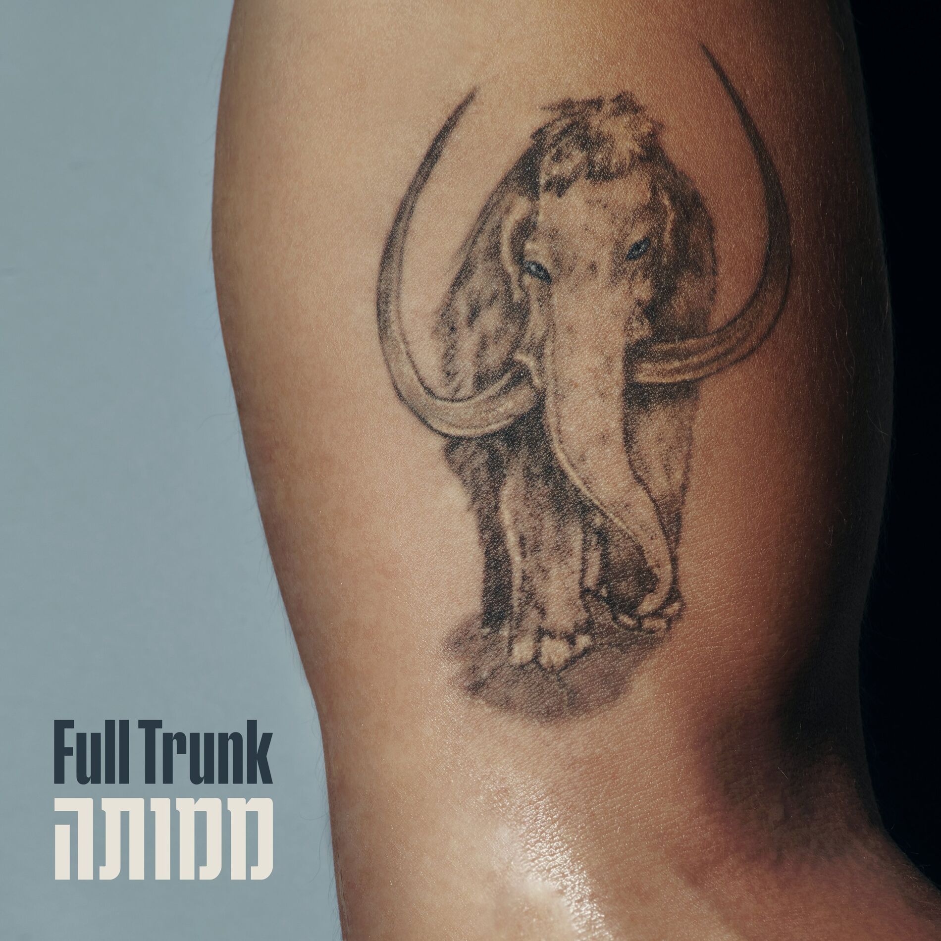 Album cover of ממותה