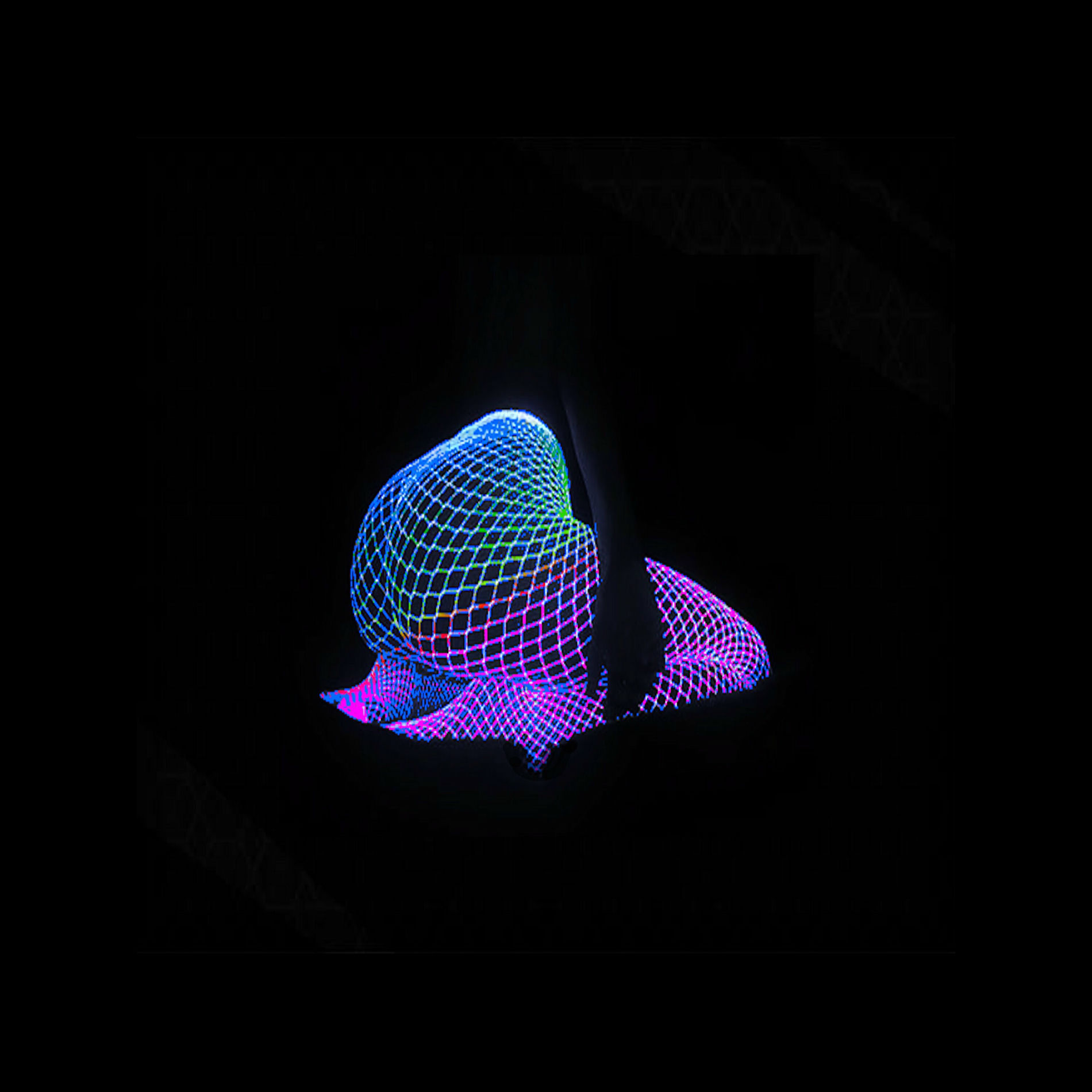 Album cover of I Wanth's