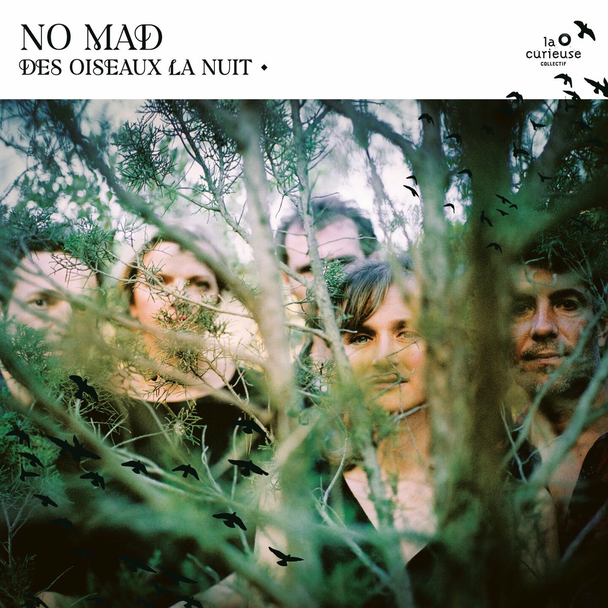 Album cover of Des oiseaux la nuit