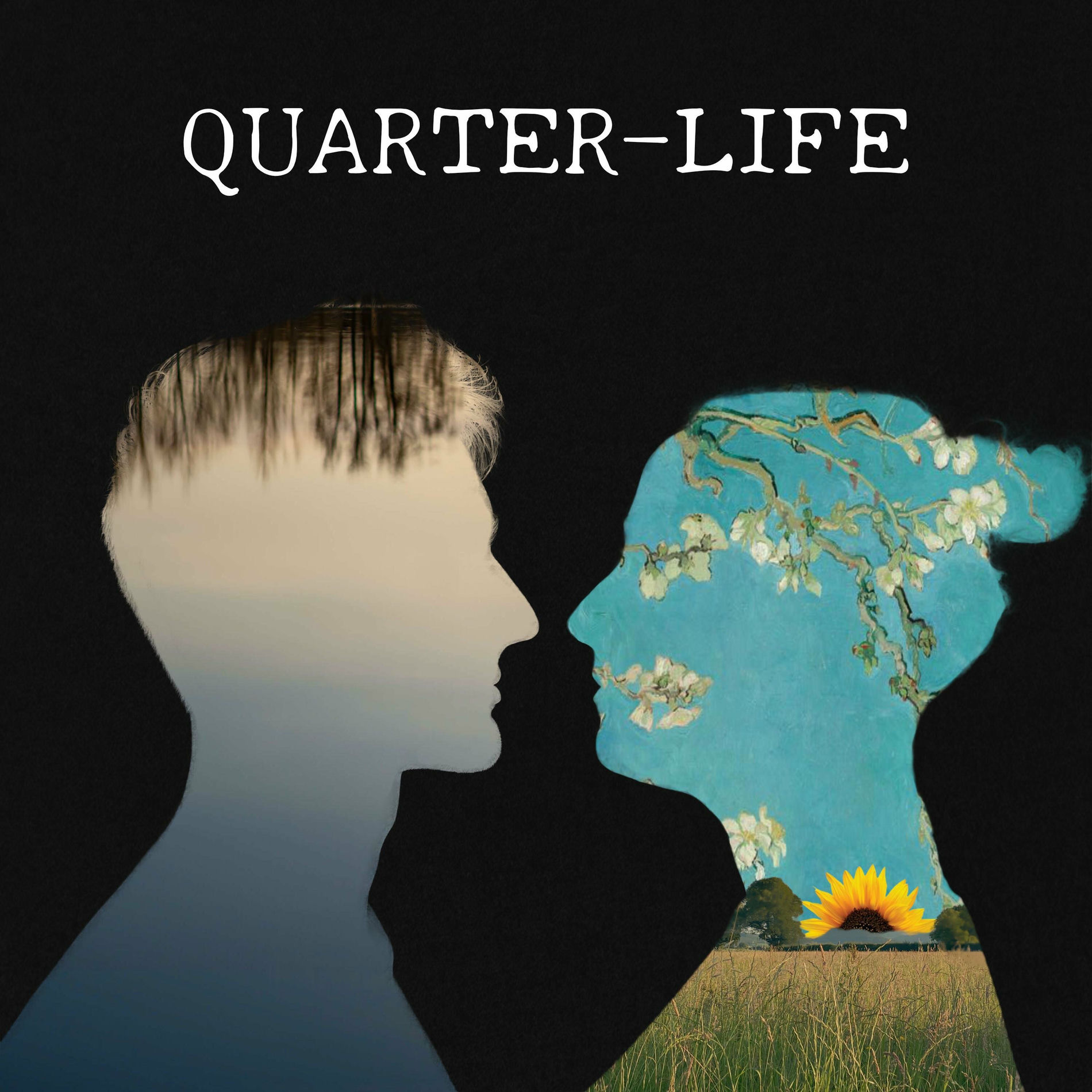 Album cover of Quarter-Life