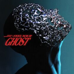 Cover of Feel Your Ghost