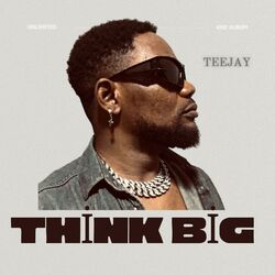 Cover of THINK BIG
