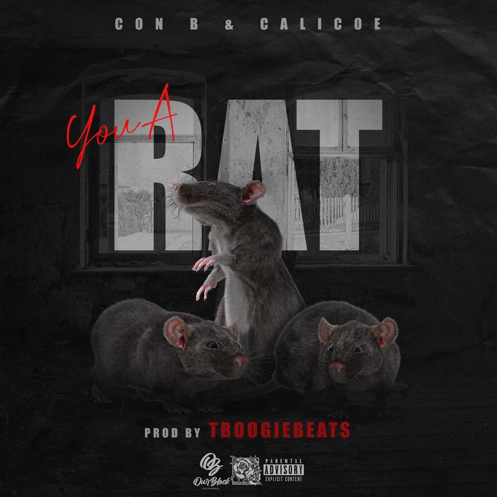 Picture of You A Rat