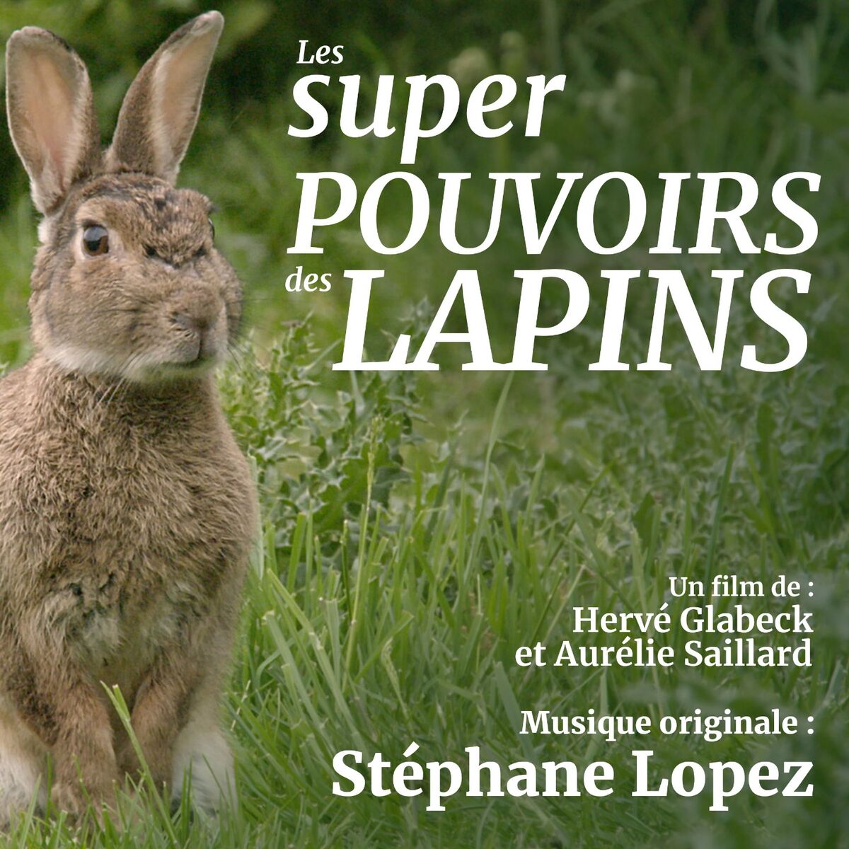 Album cover of Les super pouvoirs des lapins (Musique originale du film)
