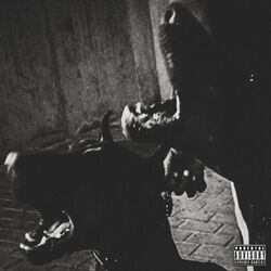 Cover of Yms