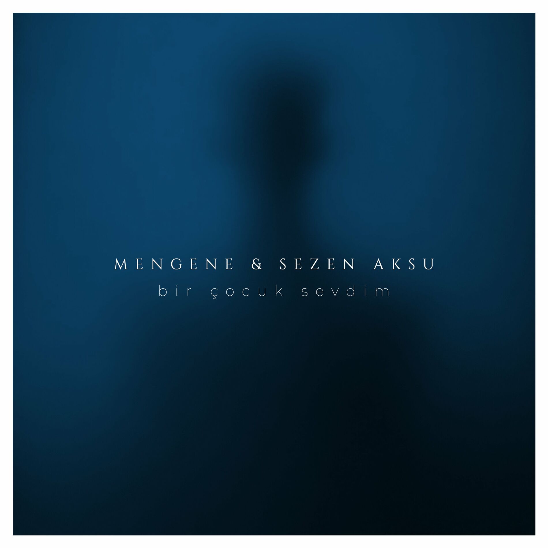 Album cover of Bir Çocuk Sevdim