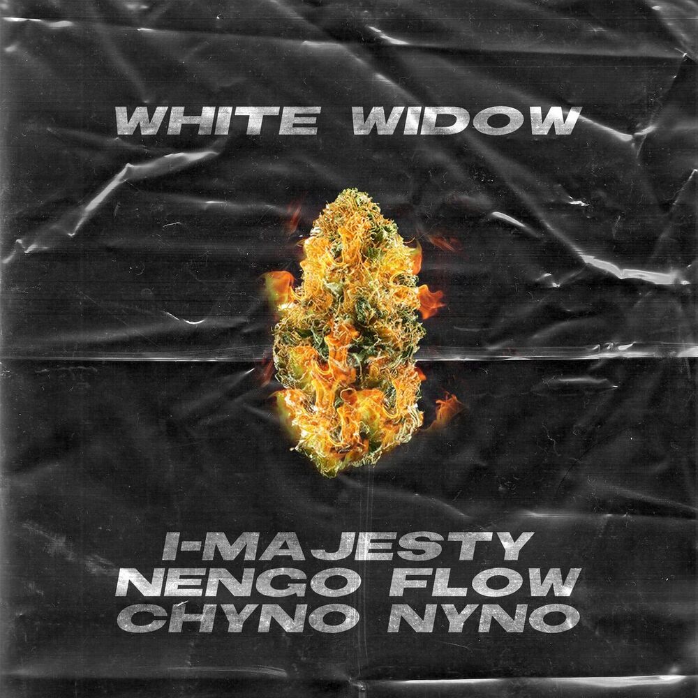 Picture of White Widow