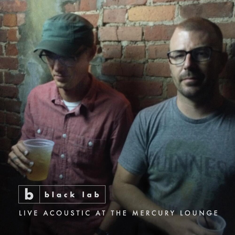 Picture of Live Acoustic at the Mercury Lounge