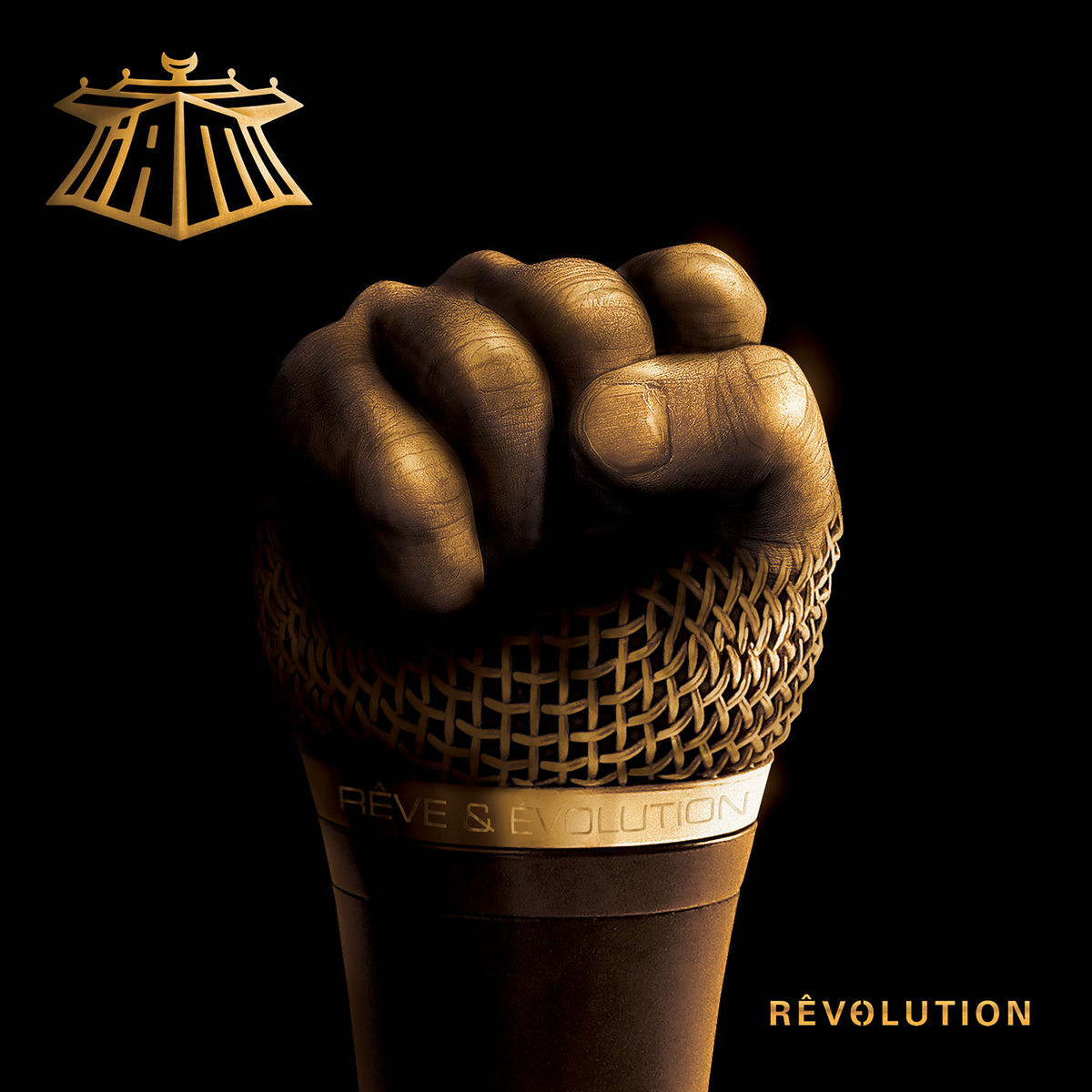 Album cover of Orthodoxes