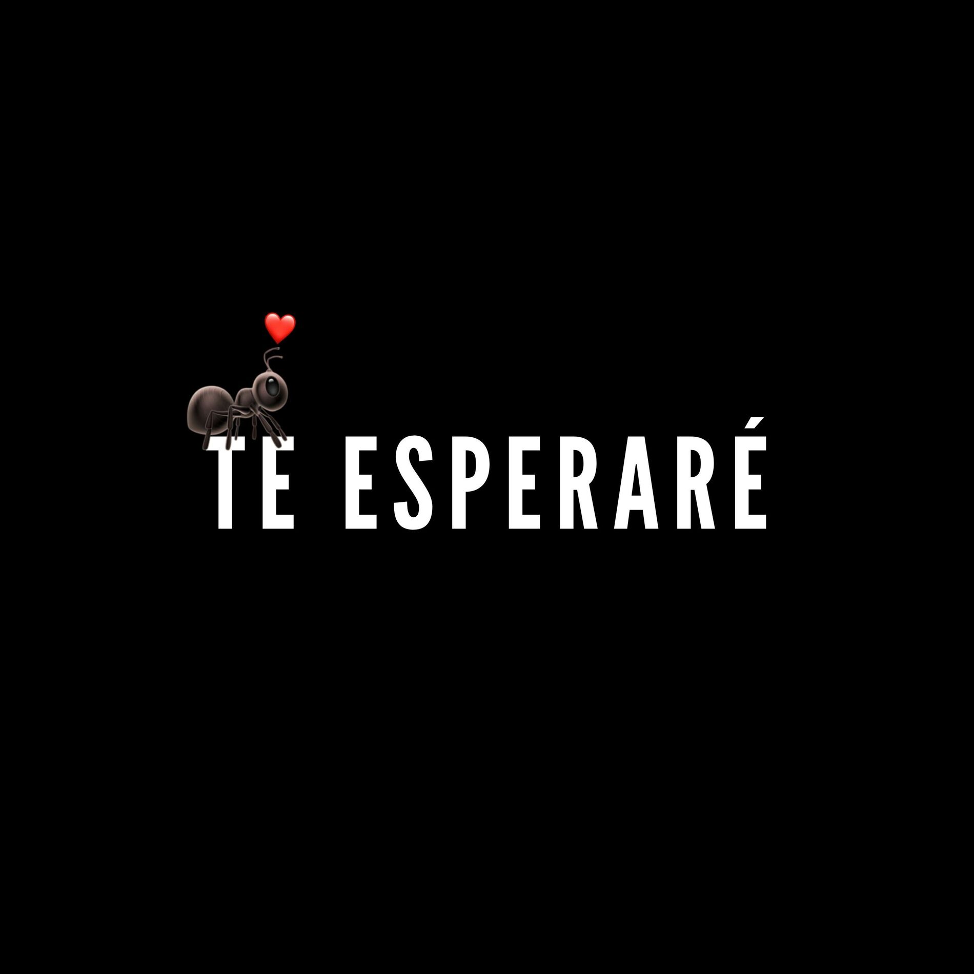 Album cover of TE ESPERARÉ