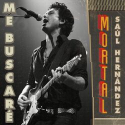 Cover of Me Buscaré