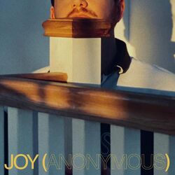 Cover of Joy (Champions)