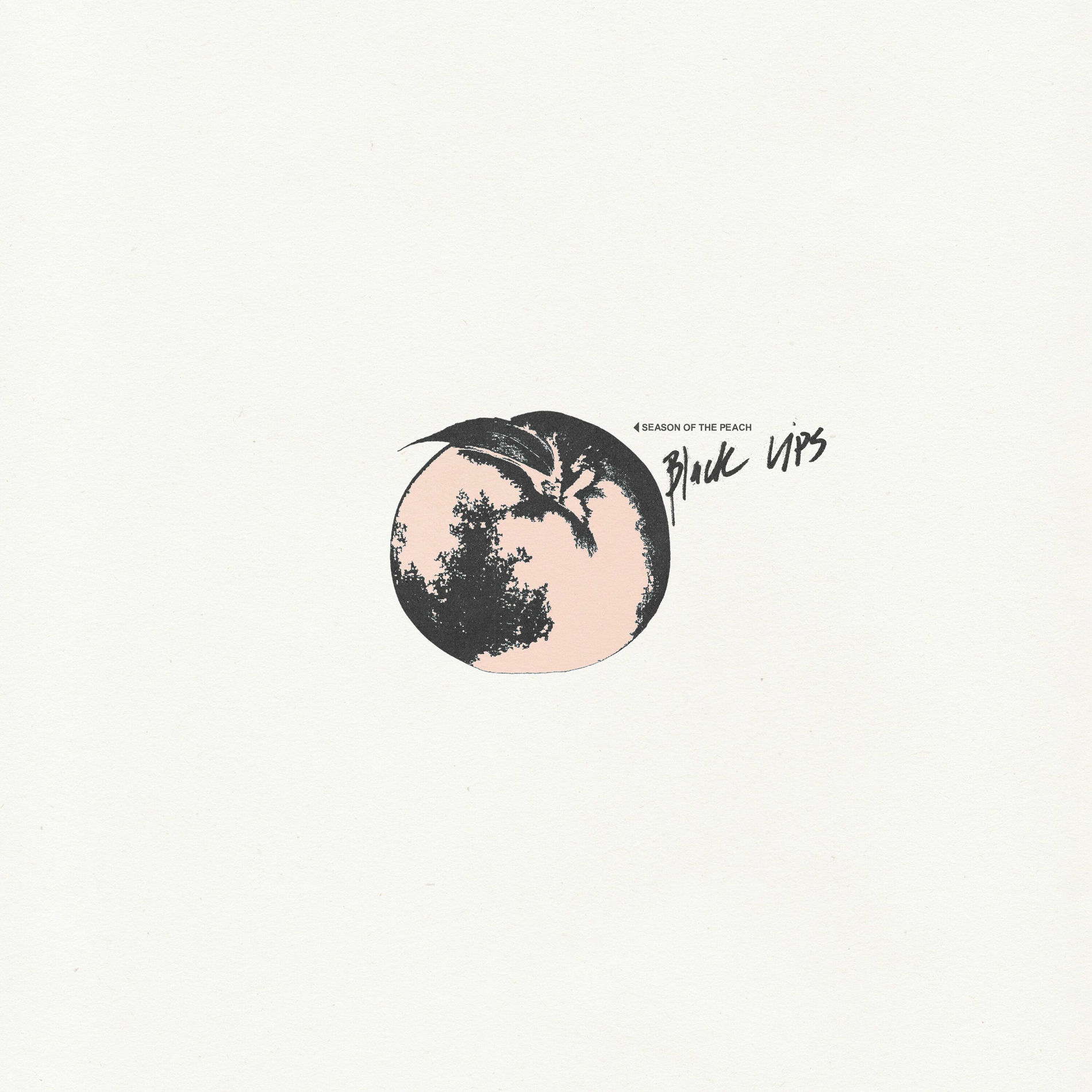 Album cover of Wild One