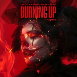Cover of Burning Up