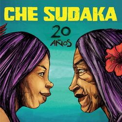Cover of 20 Años