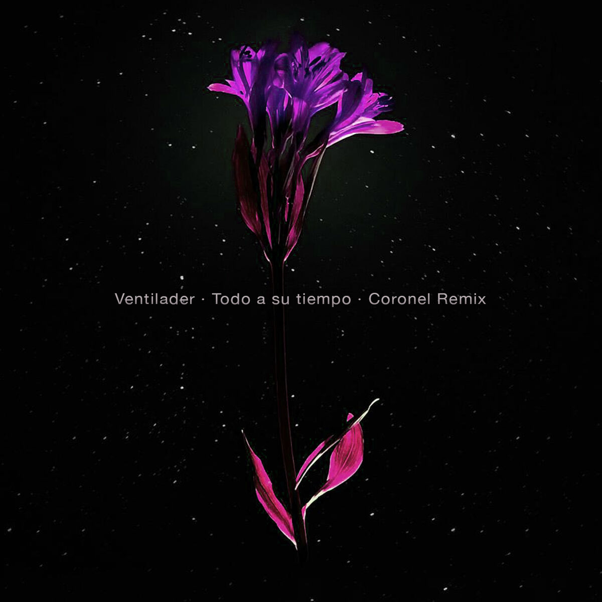 Album cover of Todo a Su Tiempo (Coronel Remix)