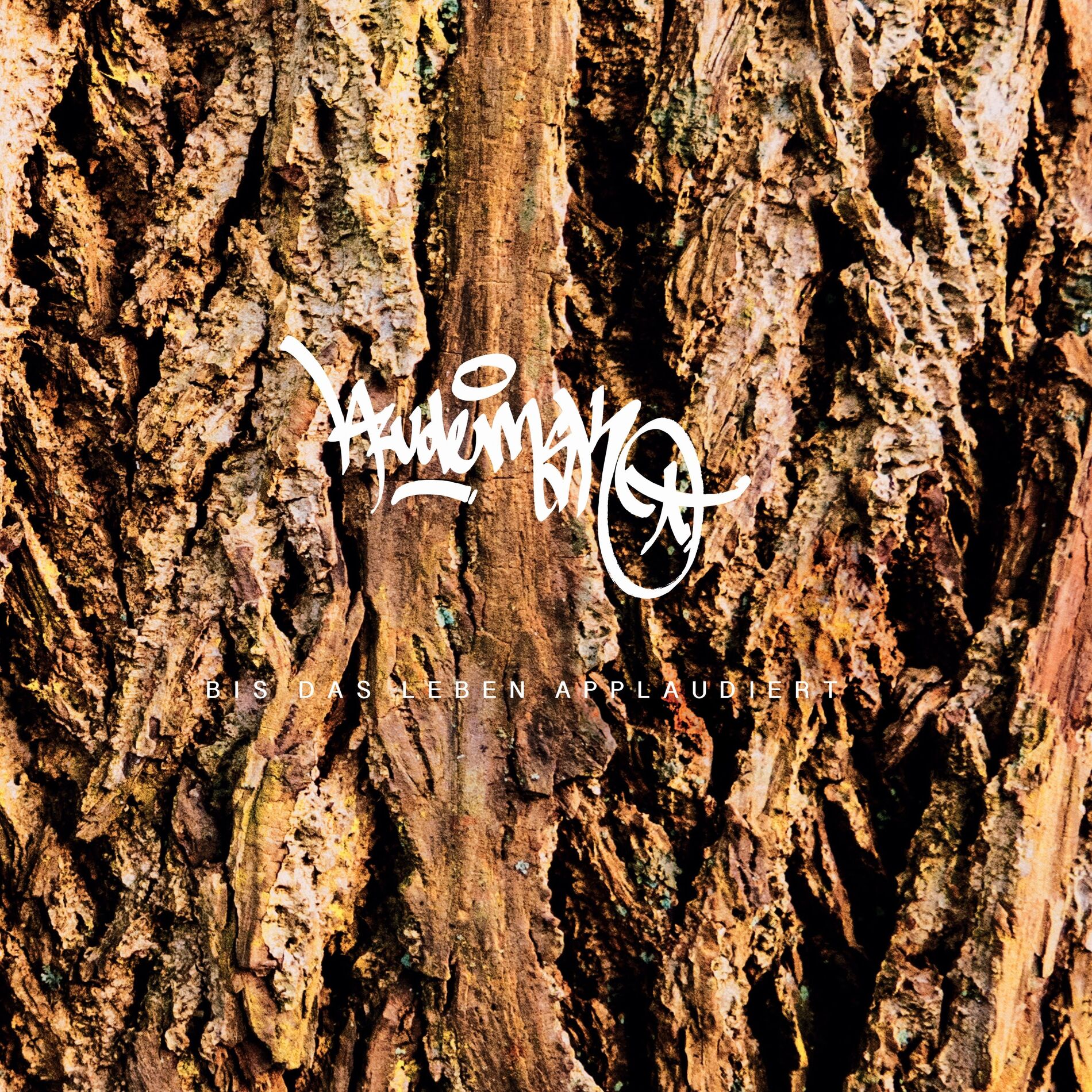 Album cover of Bis das Leben applaudiert