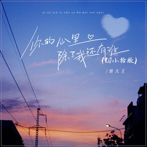 你的心里除了我还有谁 (Dj小拾版)