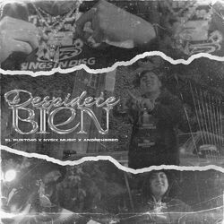 Cover of DESPÍDETE BIEN