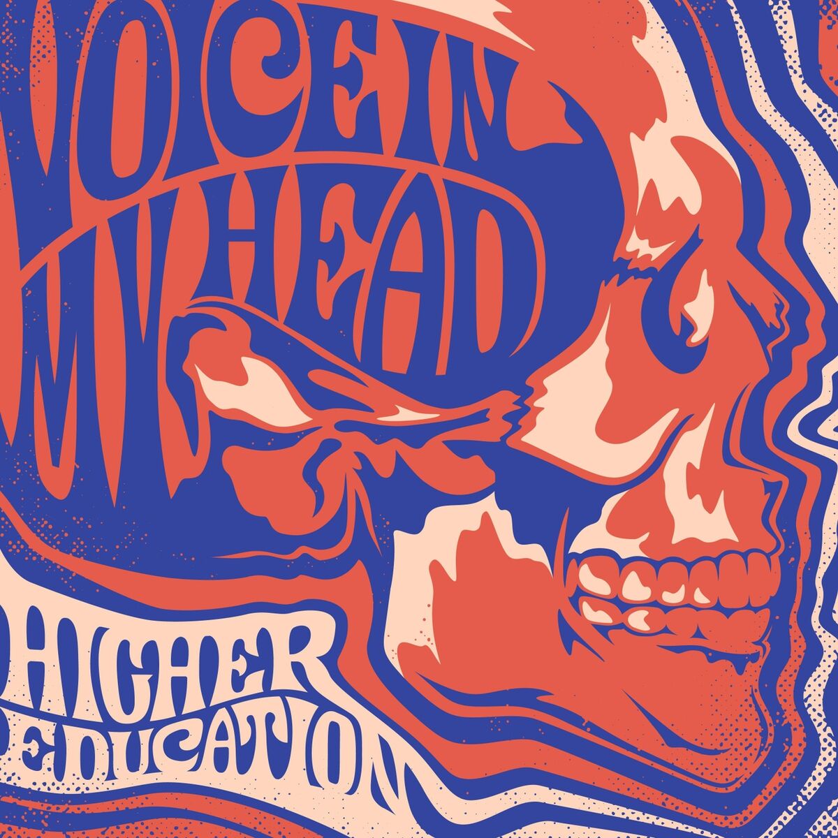 Album cover of Voice in My Head