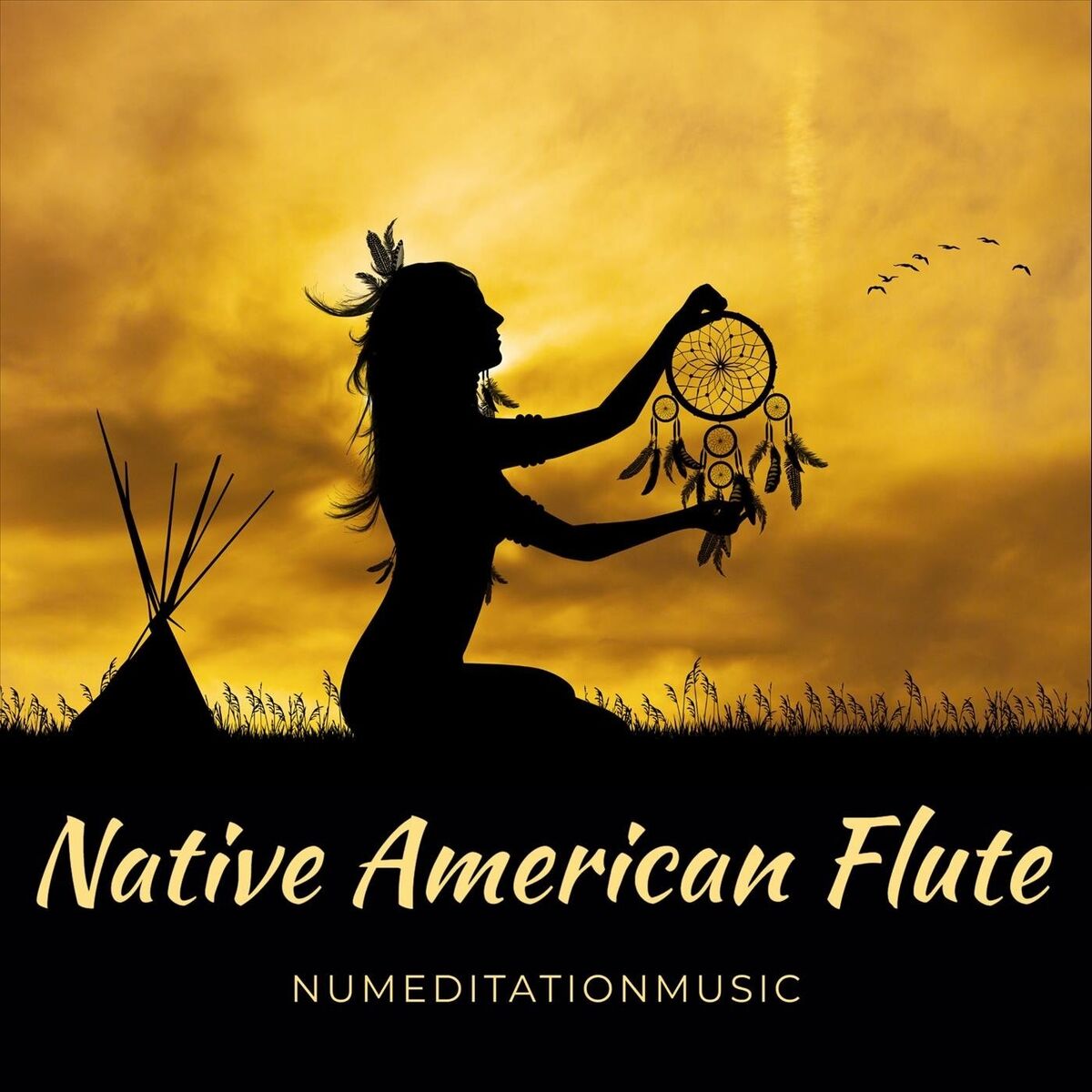 Album cover of Night Spirit