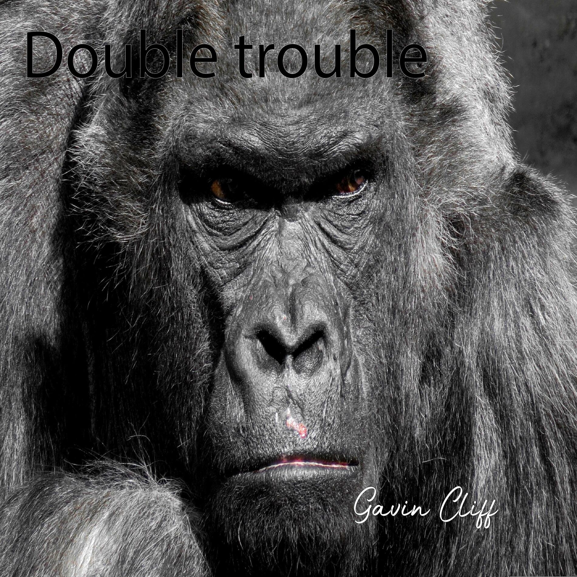 Album cover of Double Trouble