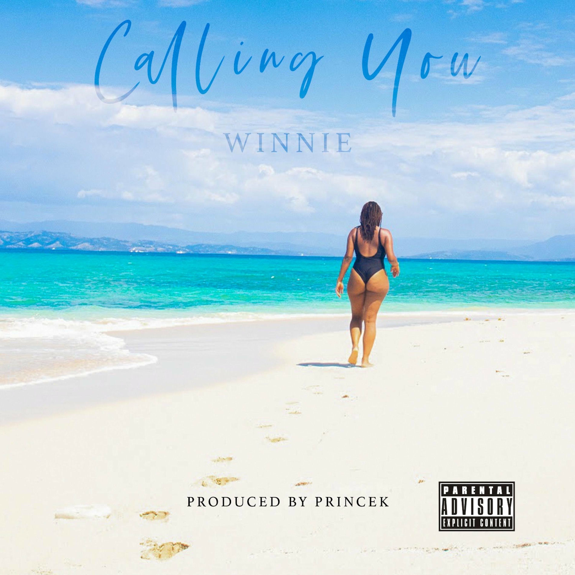 Album cover of Calling You (feat. PrinceK)