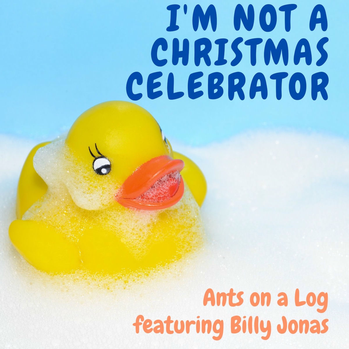 Album cover of I'm Not a Christmas Celebrator