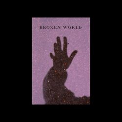 Cover of broken world