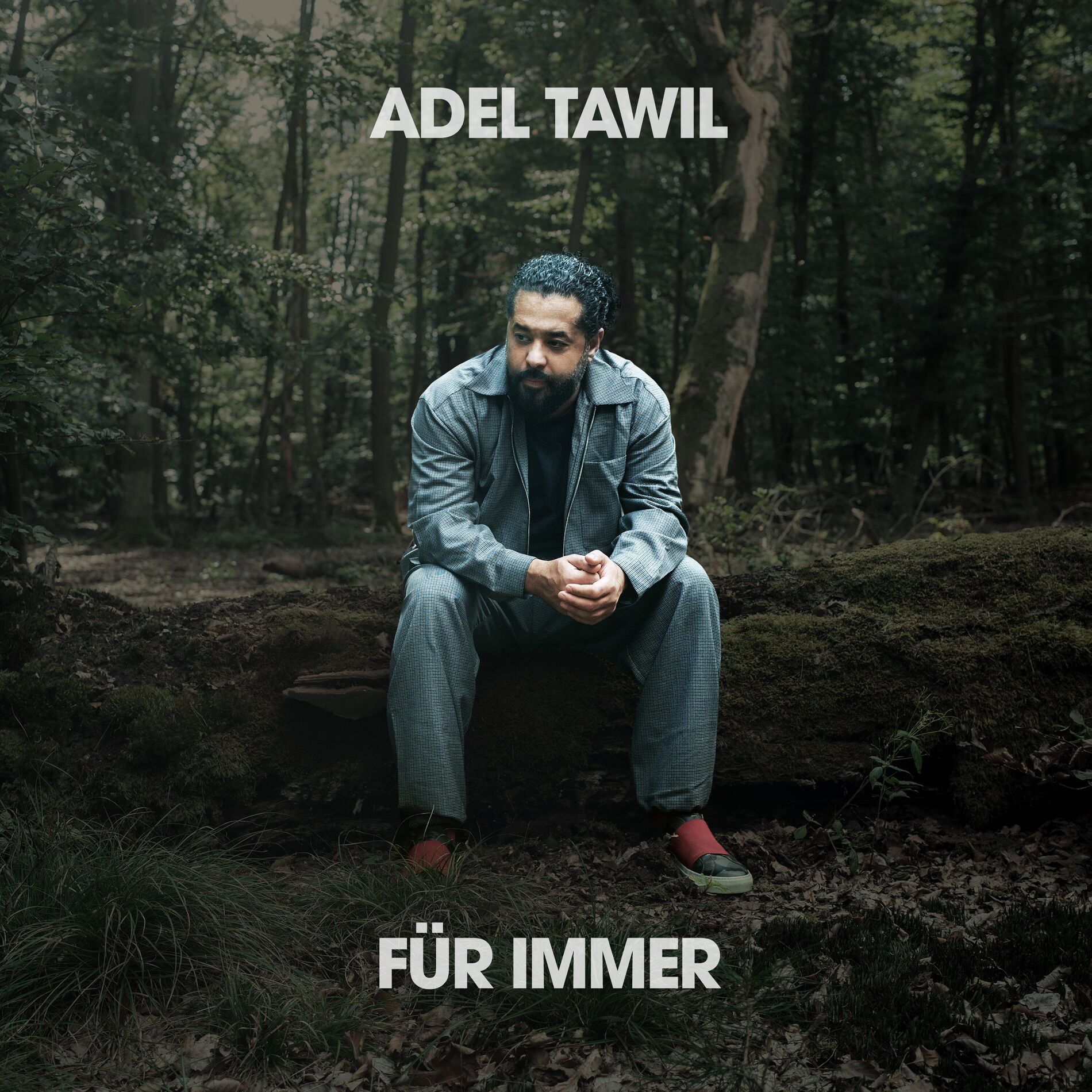 Album cover of Für Immer