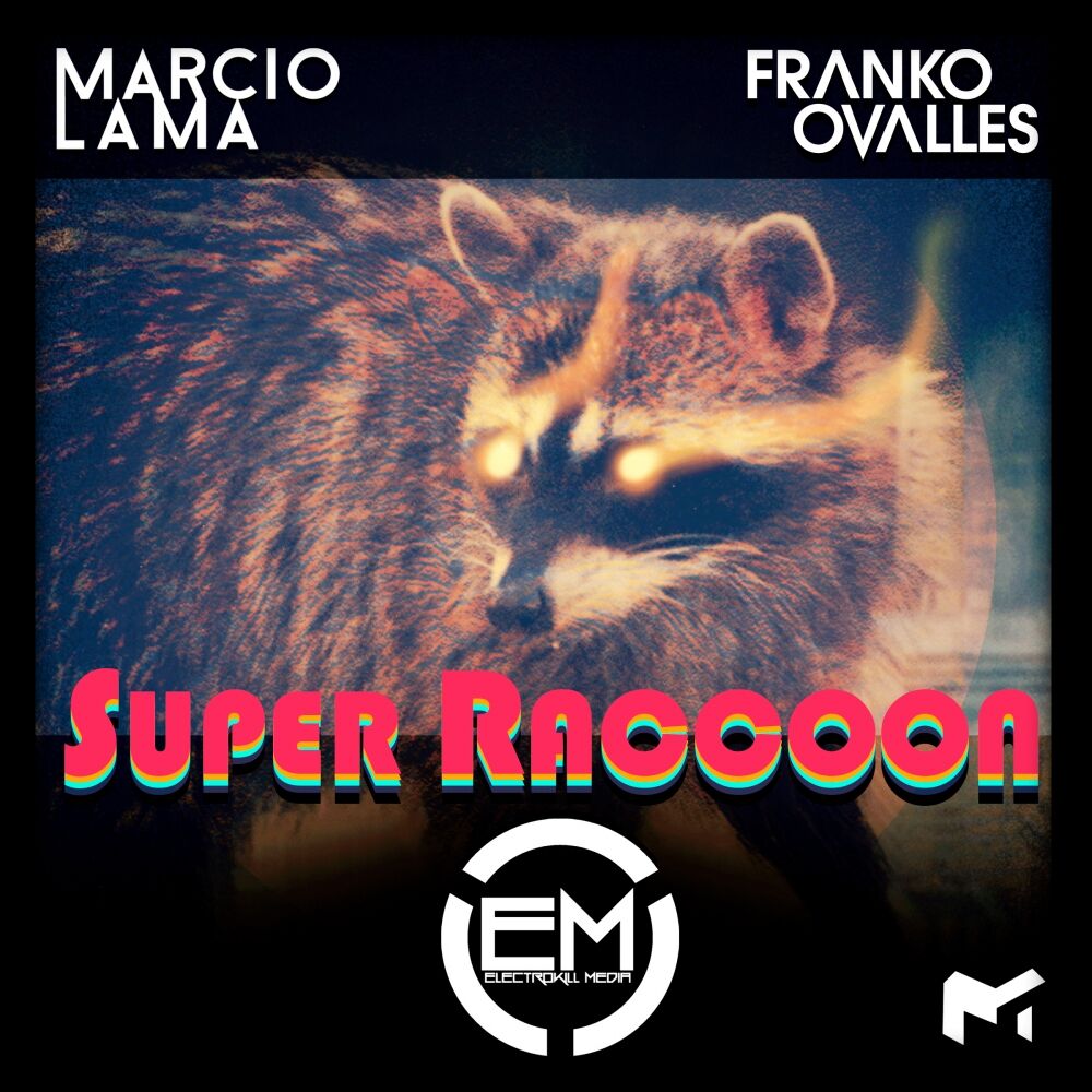 Picture of Super Raccoon