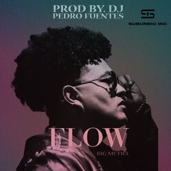 Cover of Flow