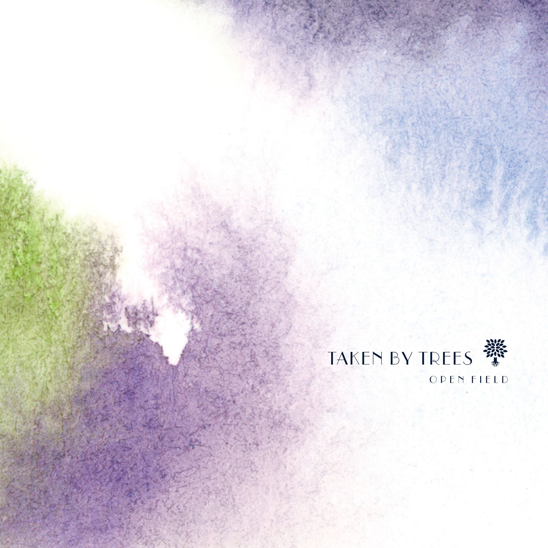 Album cover of Open Field